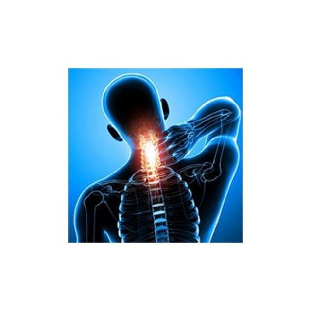 Curso de Deborah Falla: Trastornos de la Columna Cervical. Finalizado