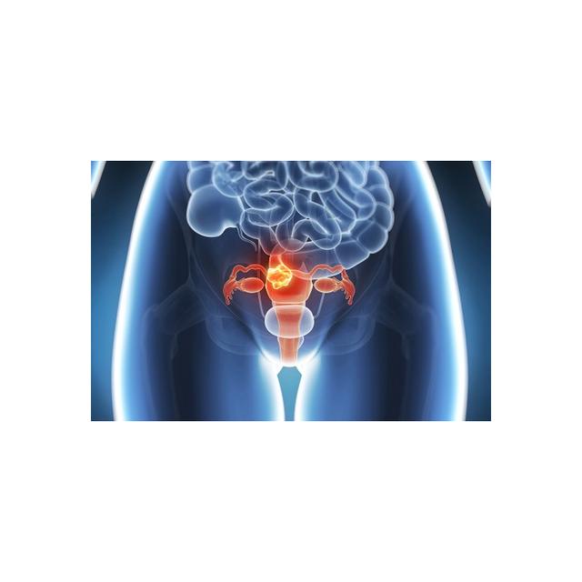 Curso de Fisioterapia Coloproctológica. Madrid- coming soon