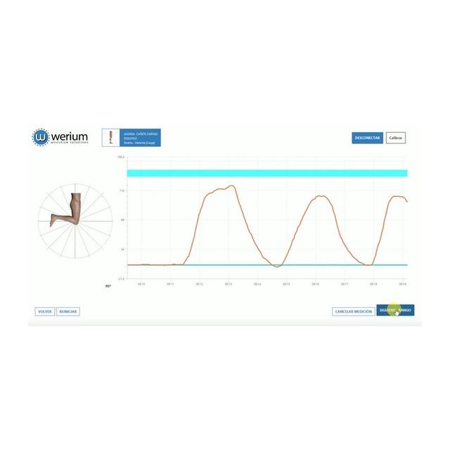 PRO MOTION CAPTURE- WERIUM