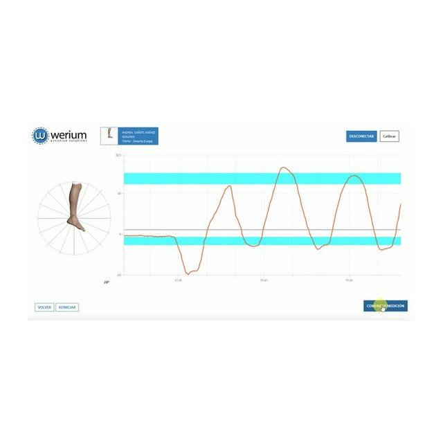 PRO MOTION CAPTURE- WERIUM