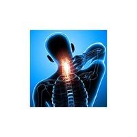 Curso de Deborah Falla: Trastornos de la Columna Cervical. Finalizado