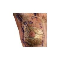 Curso de Drenaje Linfático. Método Leduc® - Barcelona Febrero 2018