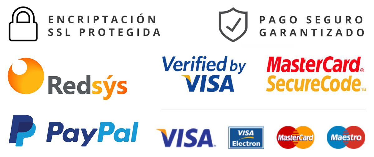 pago seguro visa mastercard paypal